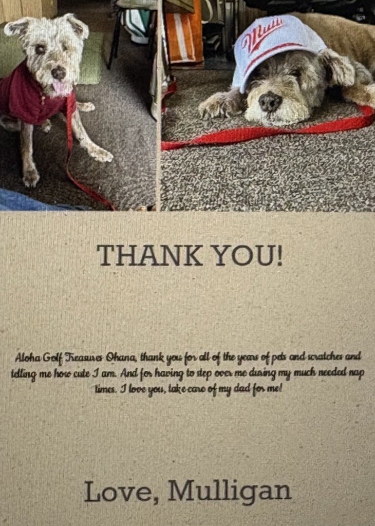 mulligan tribute card IMG 2569